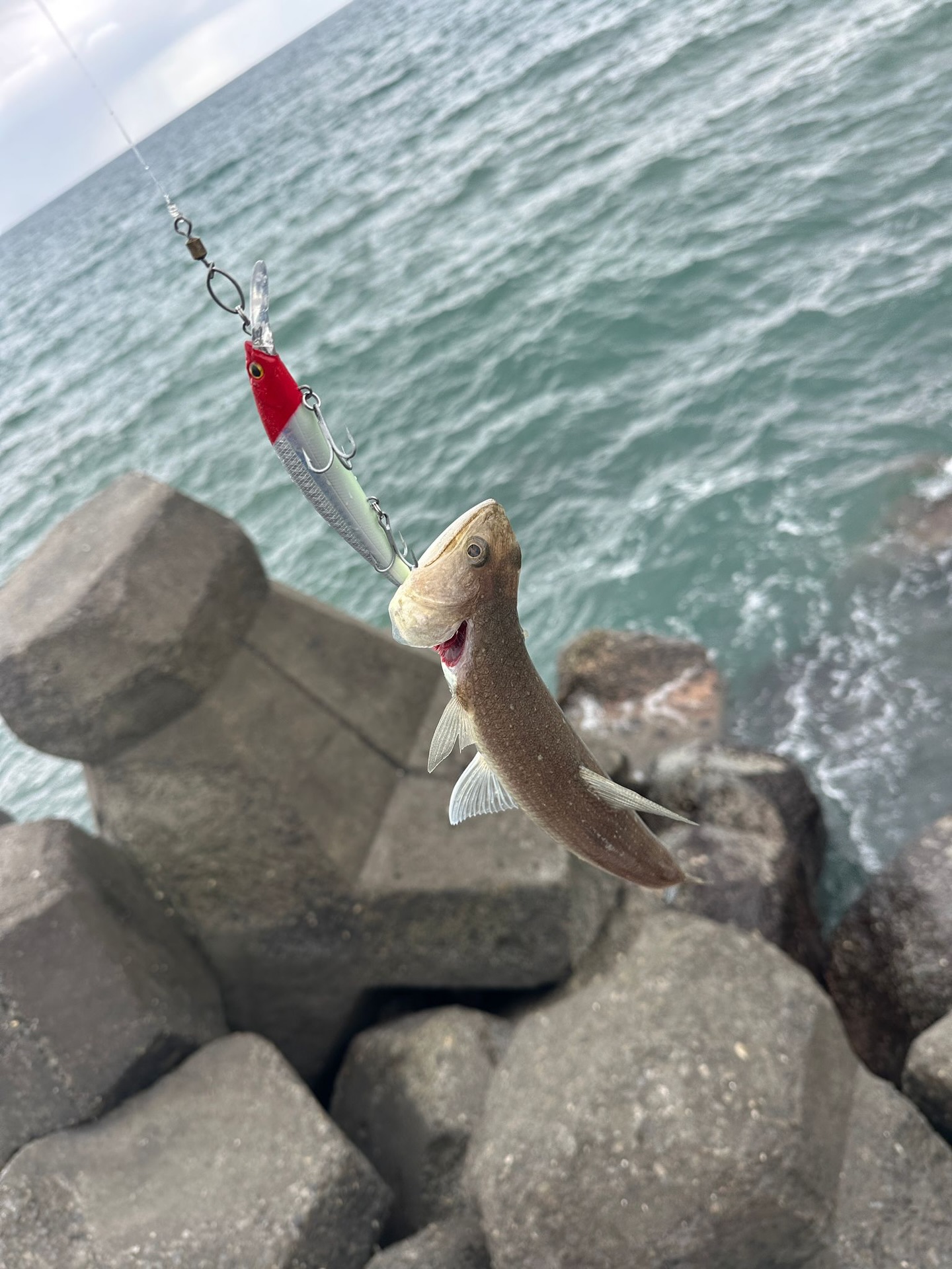 Two Rods, One Stranger, and a Different Way of Seeing the Island