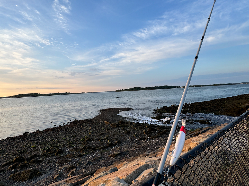 Boston Harbor 2024 — Reading the Shore at Castle Island