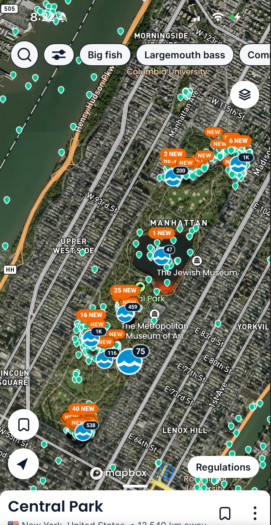 Largemouth at First Light: A Morning Session in Central Park