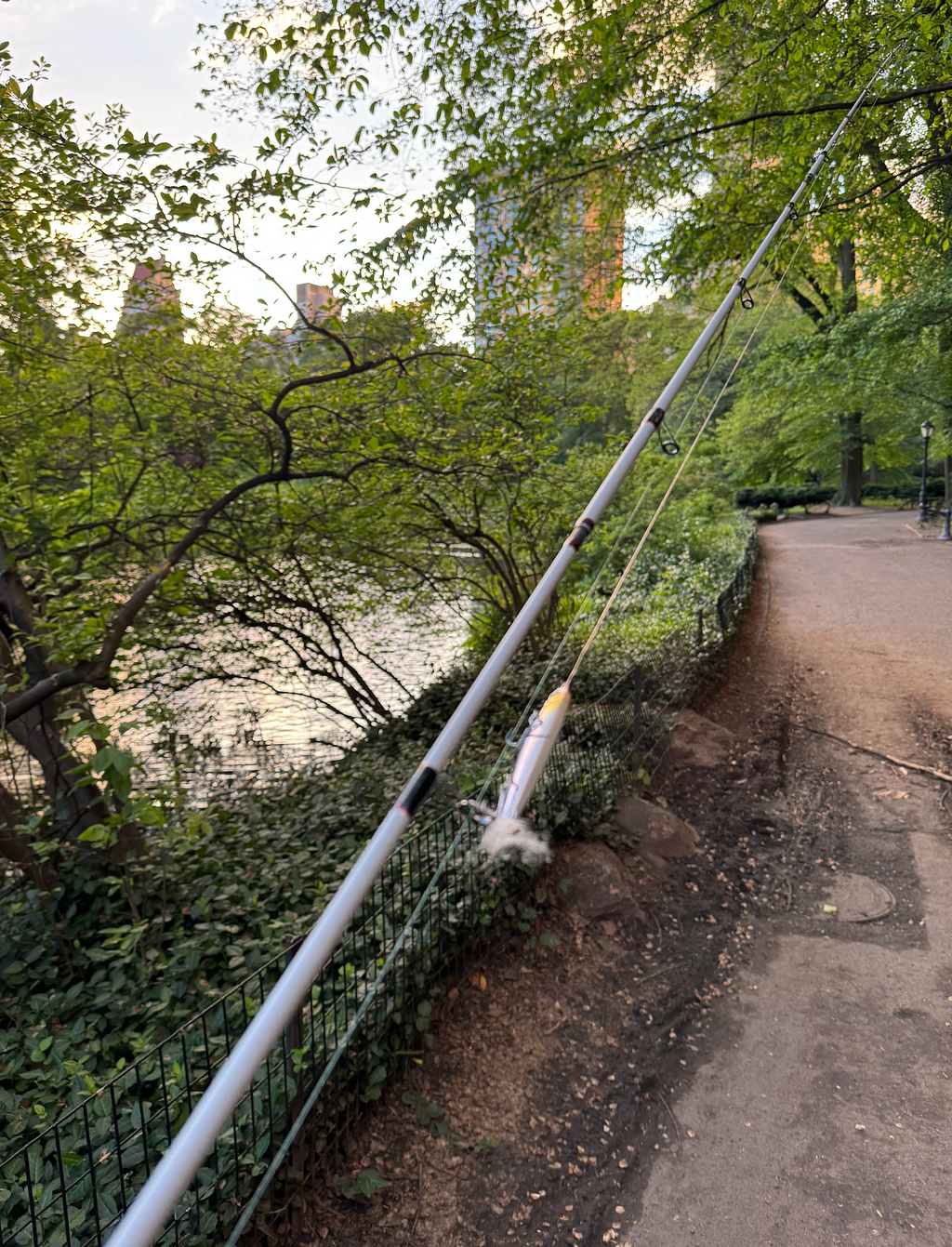 Largemouth at First Light: A Morning Session in Central Park
