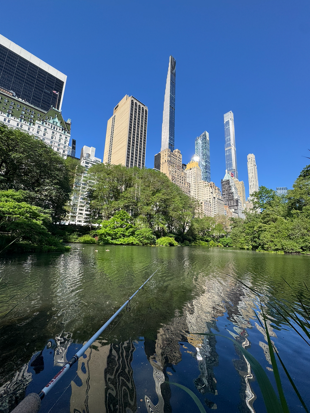 Largemouth at First Light: A Morning Session in Central Park