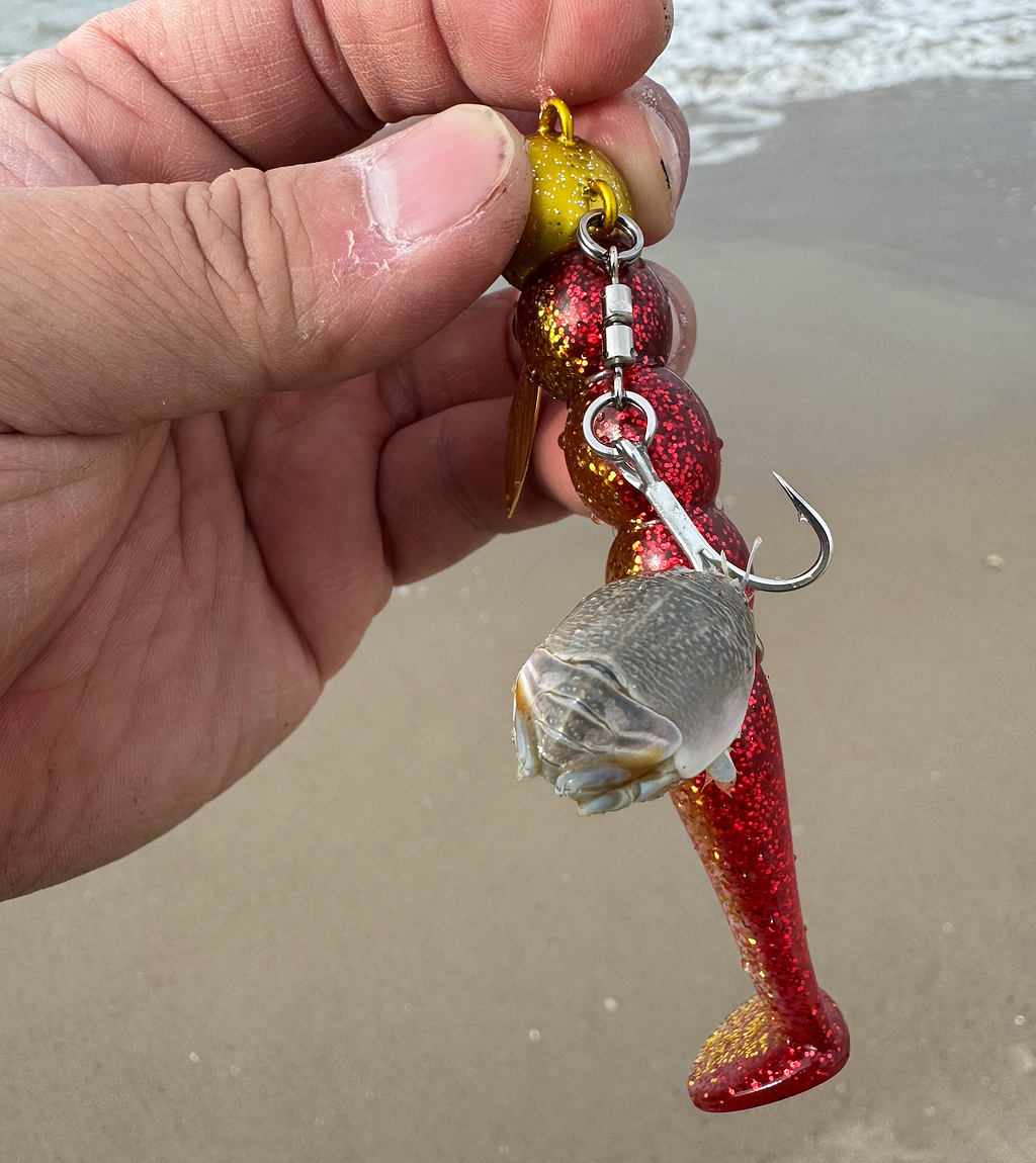 Coney Island Pier: Shore-Caught Fluke and an Ambush Bluefish