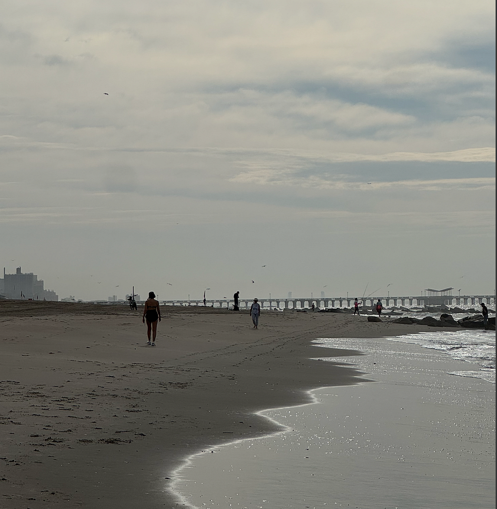 Coney Island Pier: Shore-Caught Fluke and an Ambush Bluefish