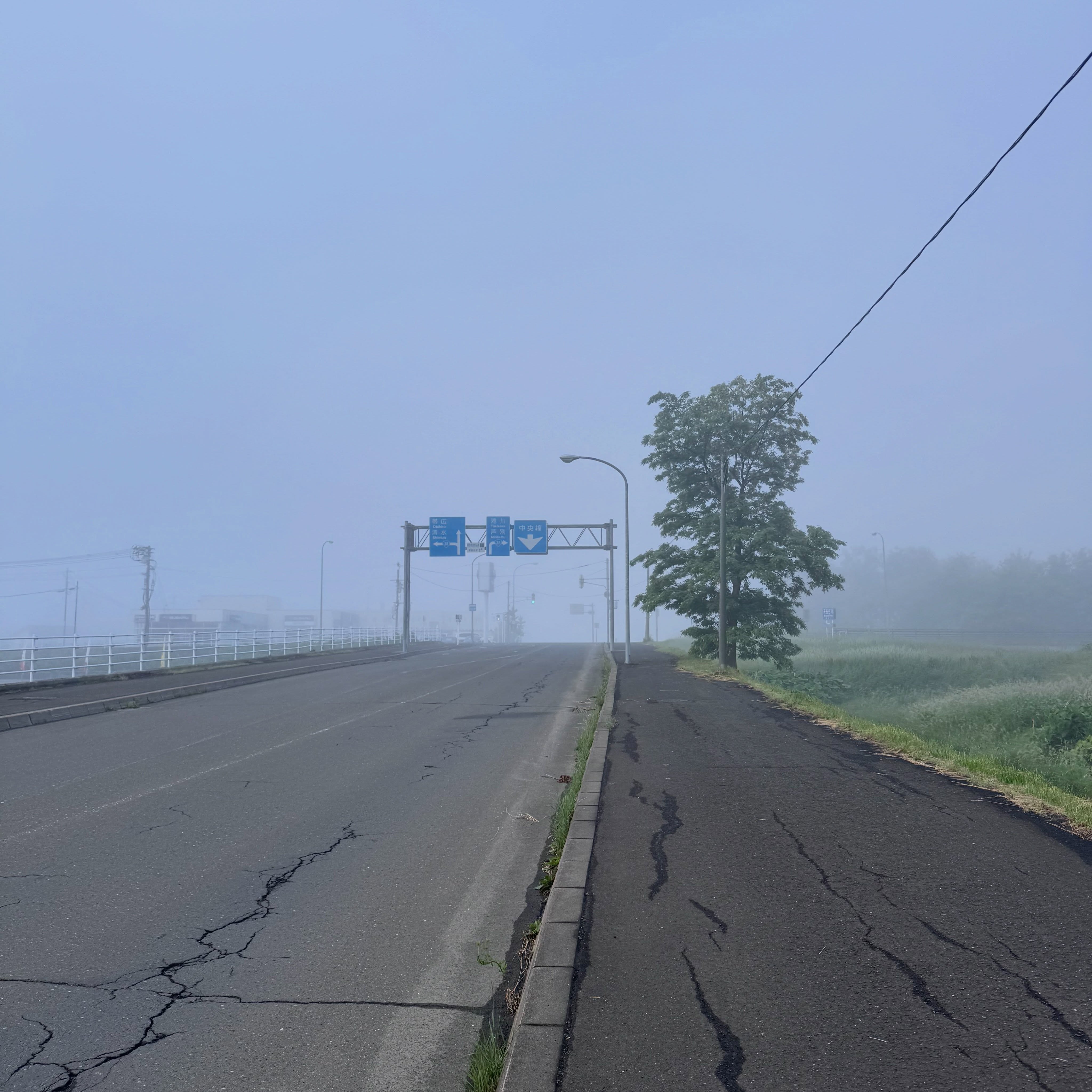 Day One in Hokkaido: Deer on the Road, Green Soup in the River