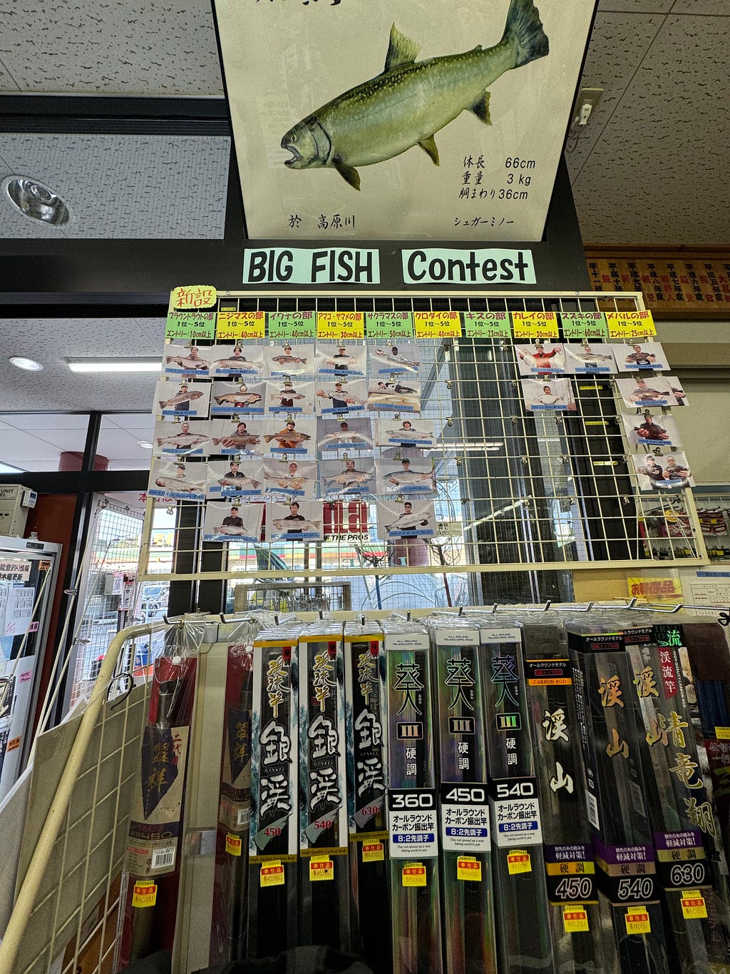 Japan Fishing Trip — Summer 2024: Chasing Seabass in Nagoya and Kanazawa