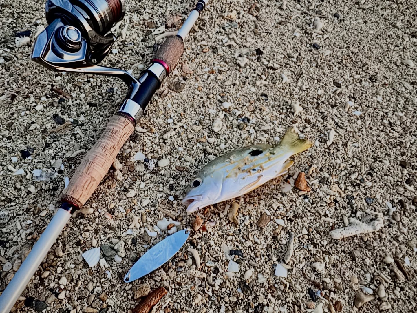 Four Fingers of Daylight: First Cast on an Okinawa Shore