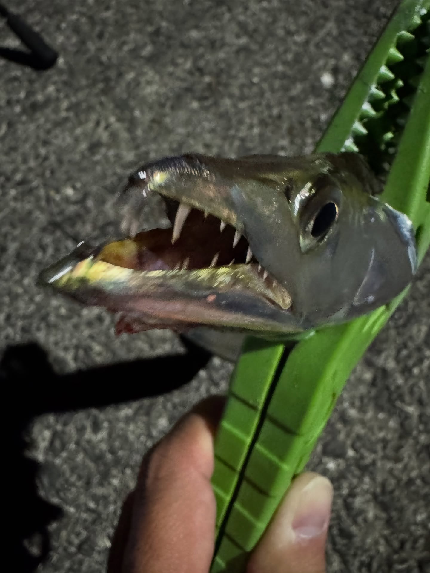 Tachiuo After Dark: A Short Pier Session Between Storms