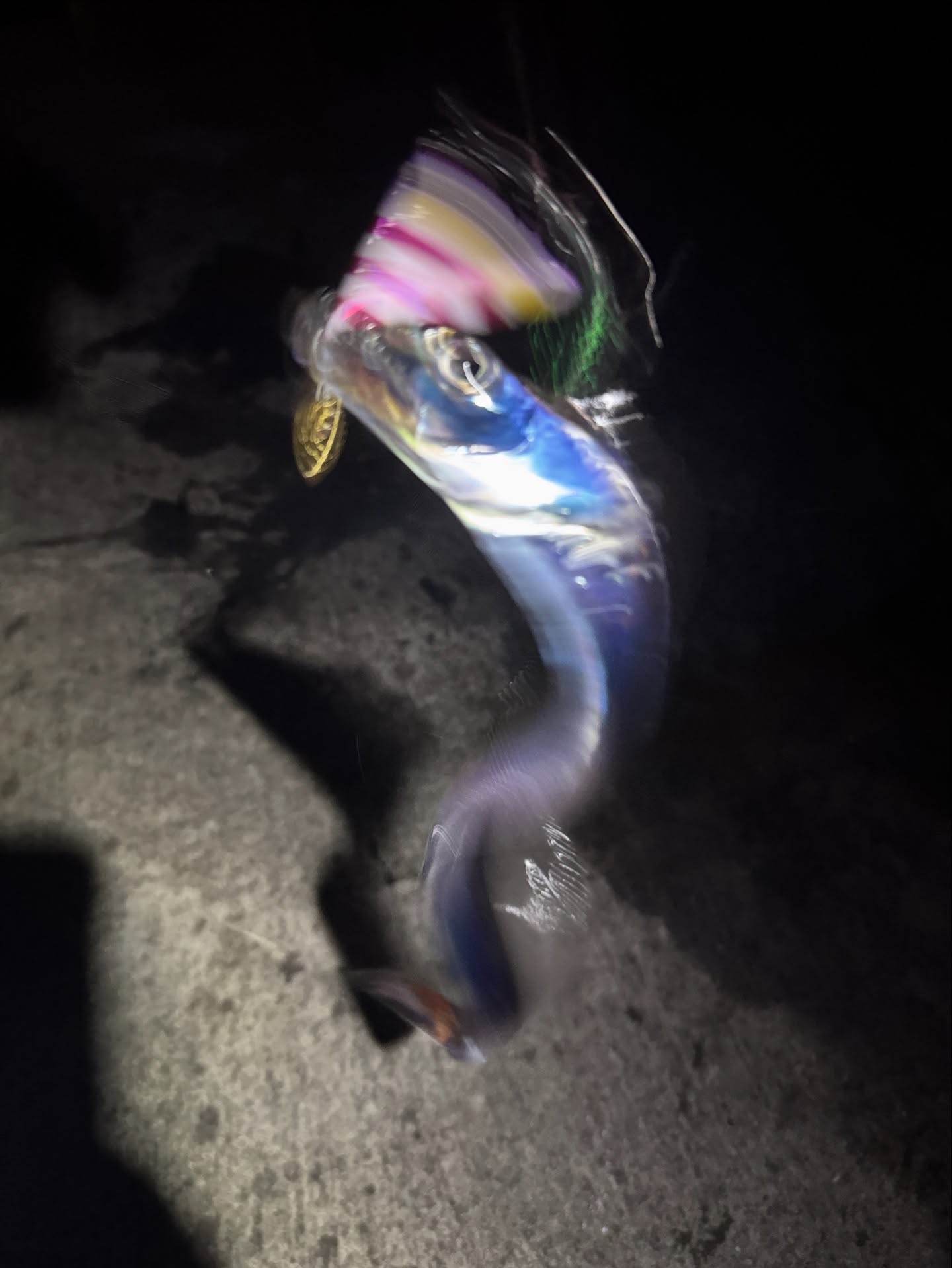 Tachiuo After Dark: A Short Pier Session Between Storms