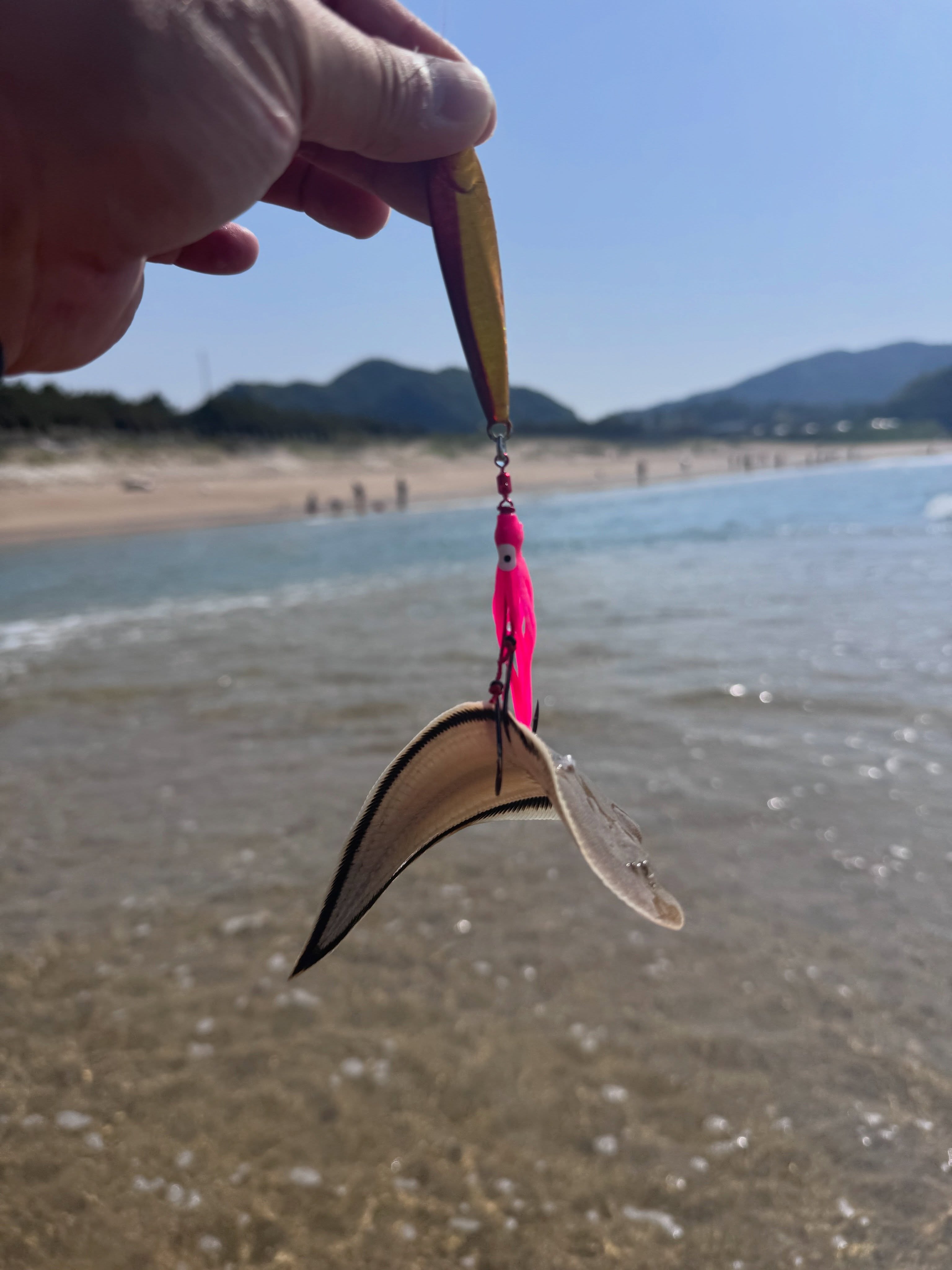 Aiming for a Cushion, Landing a Cracker: A Tongue Sole off the Sand