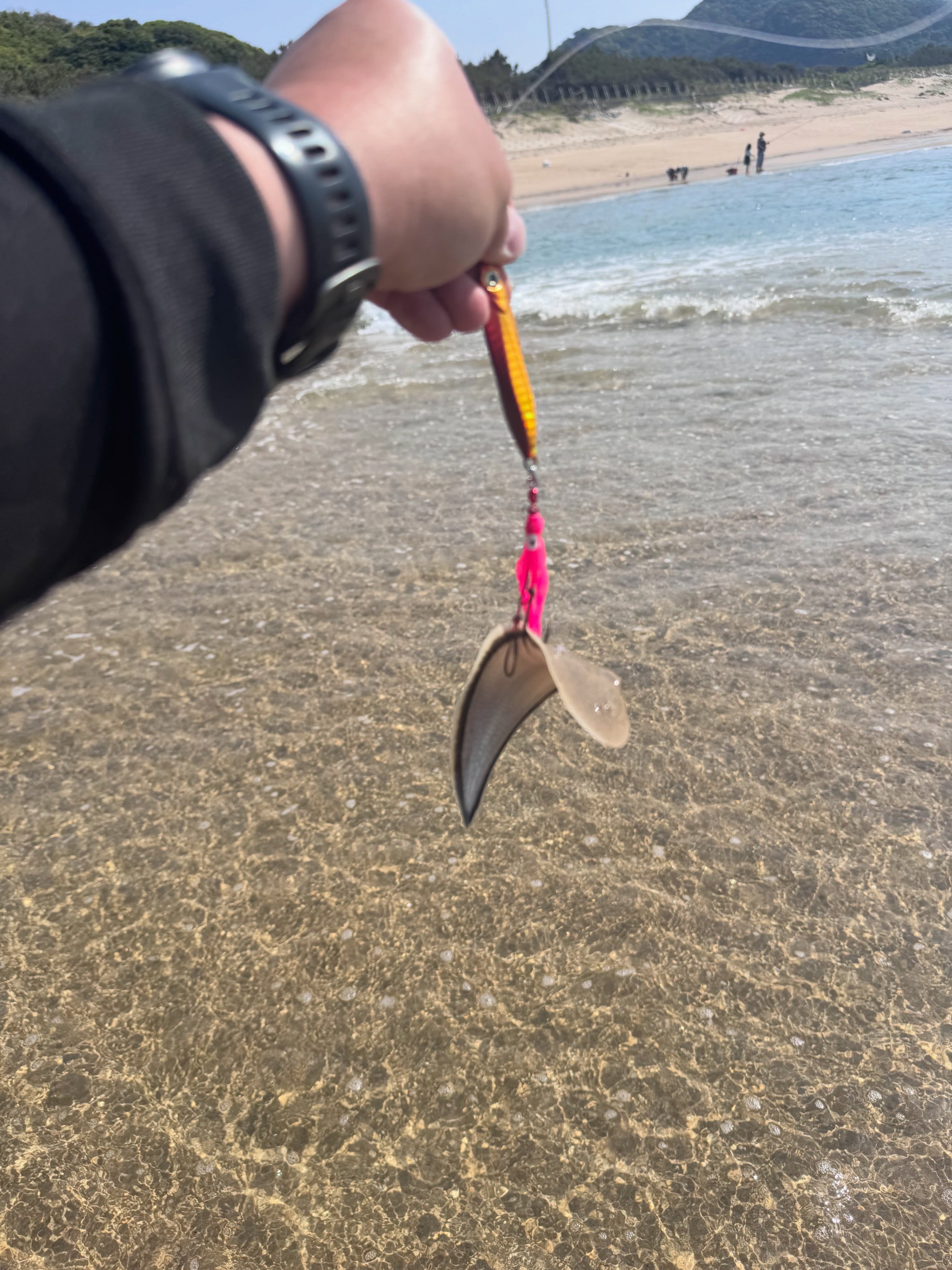 Aiming for a Cushion, Landing a Cracker: A Tongue Sole off the Sand
